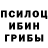 Галлюциногенные грибы Psilocybine cubensis Serhiy Lazarevych