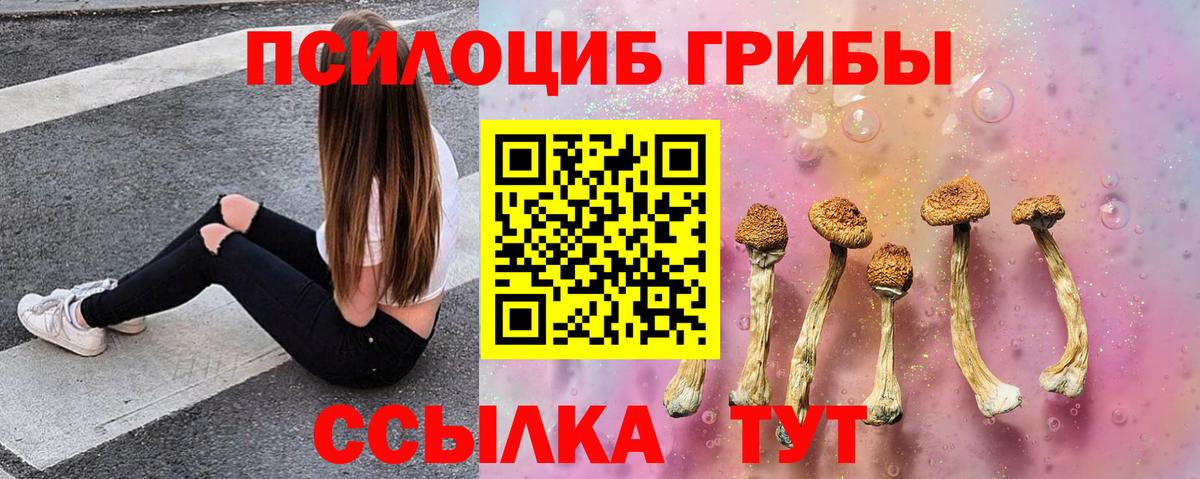 Псилоцибиновые грибы ЛСД  Псилоцибиновые грибы GOLDEN TEACHER  Прокопьевск  Вход с VPN 